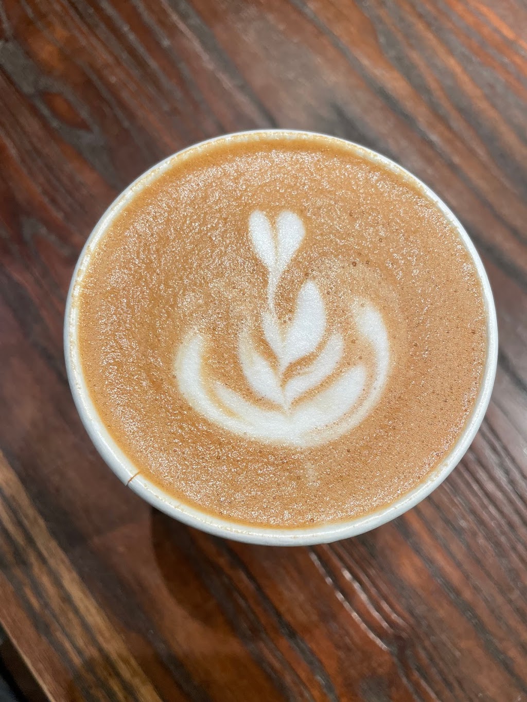 Undergrowth Coffee | cafe | 4332 Magazine St, New Orleans, LA 70115, USA | 5047667772 OR +1 504-766-7772