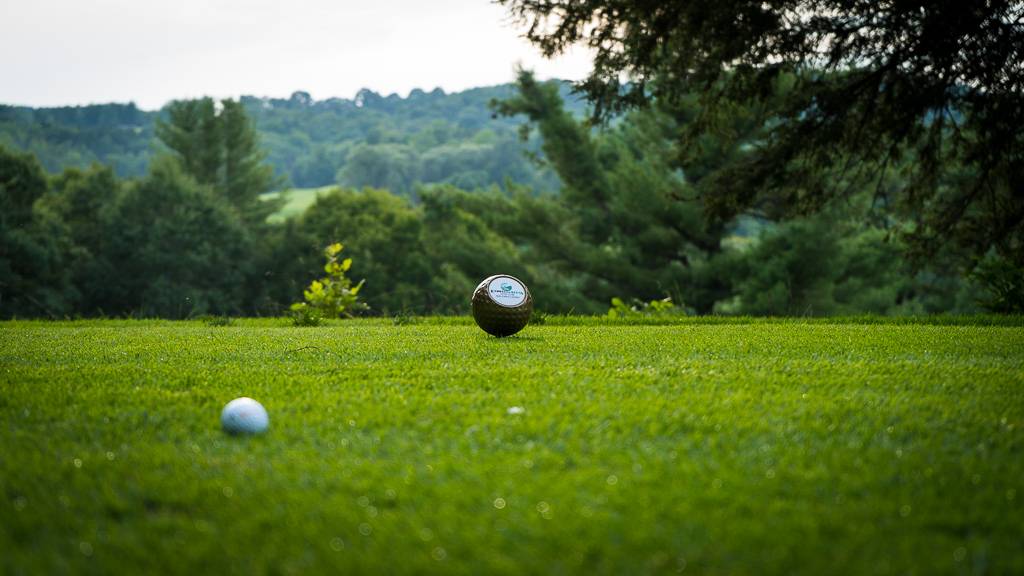 Endwell Greens Golf Course and Event Center | restaurant | 3675 Sally Piper Rd, Endwell, NY 13760, USA | 6077854653 OR +1 607-785-4653