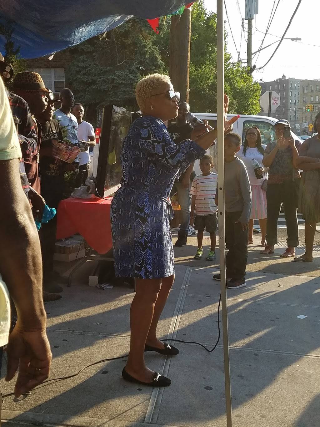 Finger Licking Jerk | restaurant | 1785 Nereid Ave, Bronx, NY 10466, USA | 3478430897 OR +1 347-843-0897