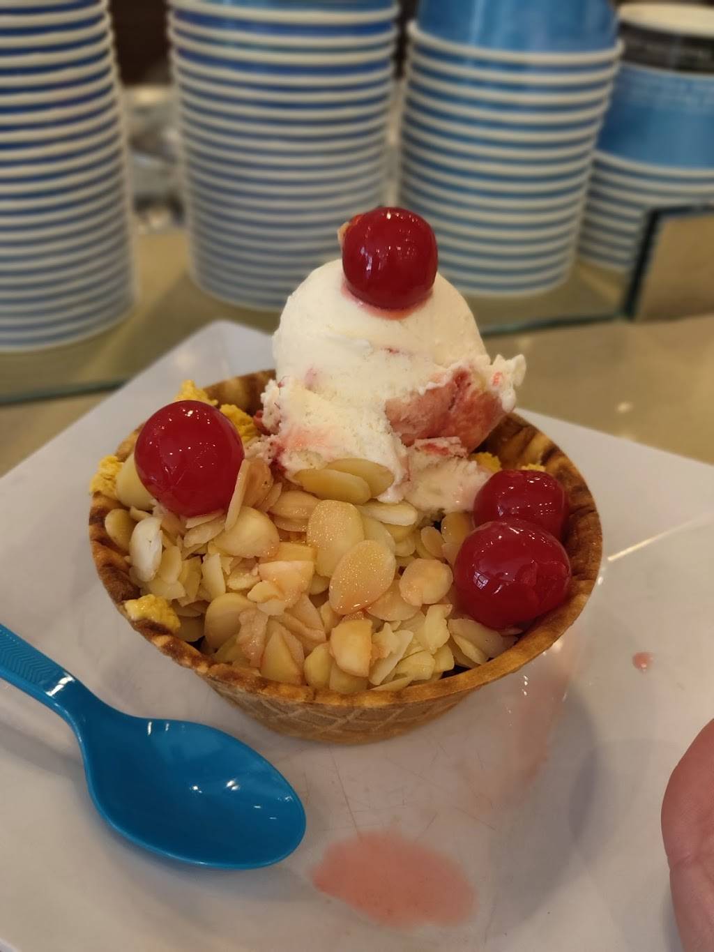 Freddo | cafe | 8550 NW 53rd St, Doral, FL 33166, USA | 7862571207 OR +1 786-257-1207