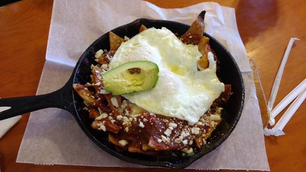 Garden Grille Cafe | restaurant | 34088 US Hwy 19 N, Palm Harbor, FL 34684, USA | 7277866440 OR +1 727-786-6440