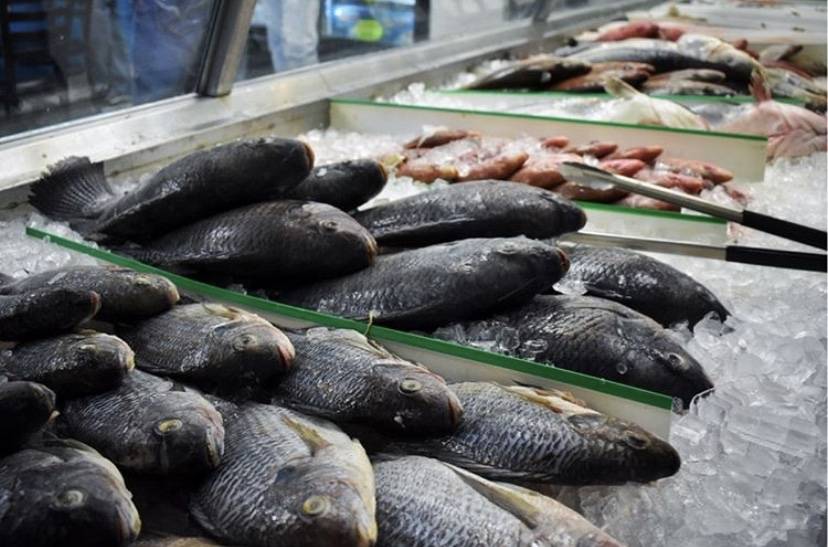 Delfin Seafood Market & Restaurant | restaurant | 8526 Rosecrans Ave, Paramount, CA 90723, USA | 5626301928 OR +1 562-630-1928