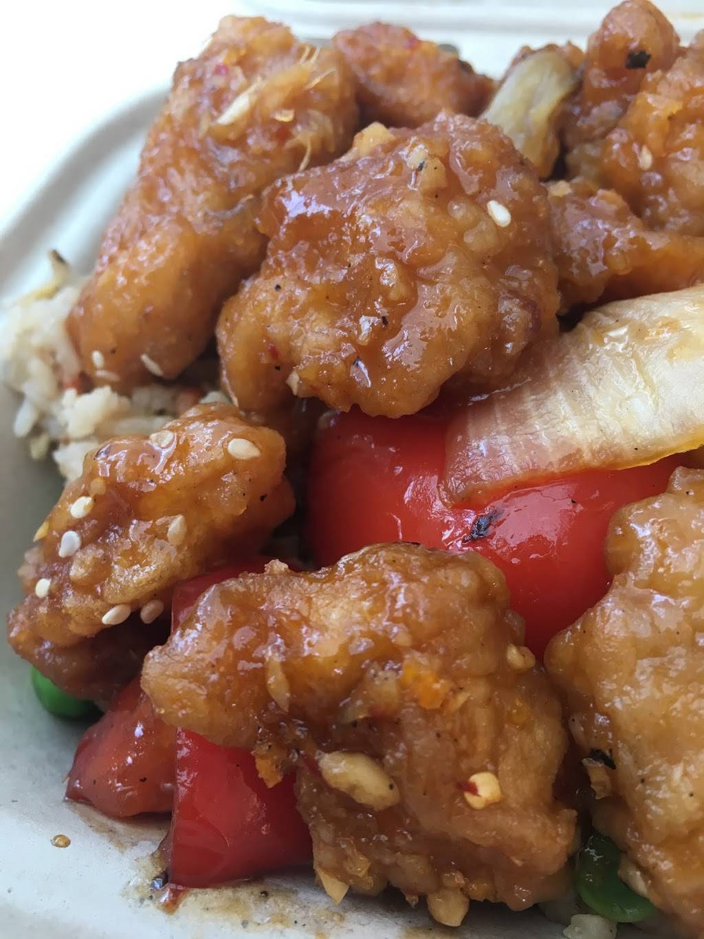 Star Ginger | restaurant | 1400 Washington Ave, Albany, NY 12222, USA | 5184425985 OR +1 518-442-5985