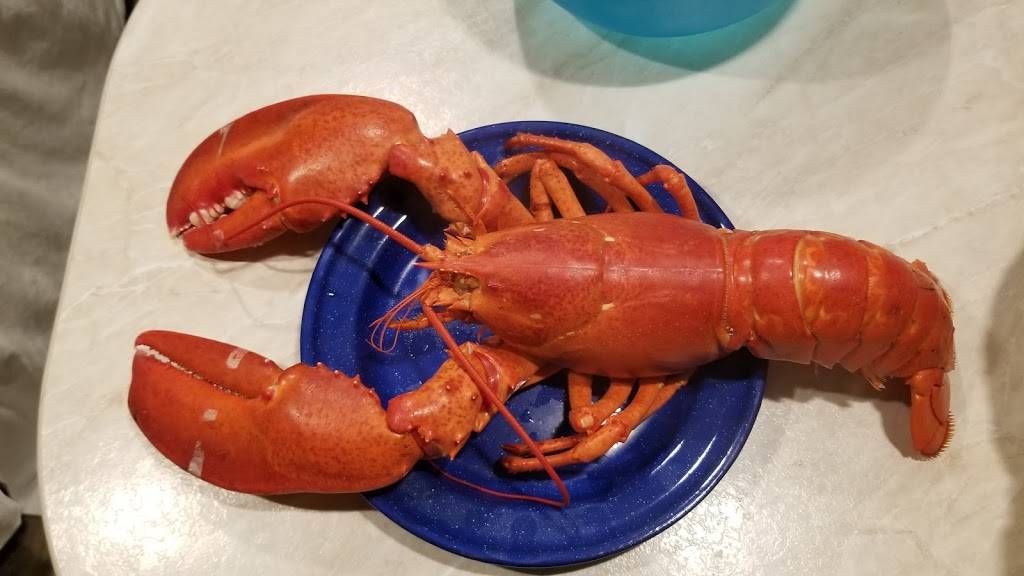 Hodgdons Seafood | restaurant | 1065 Tremont Rd, Seal Cove, ME 04674, USA | 2076692343 OR +1 207-669-2343