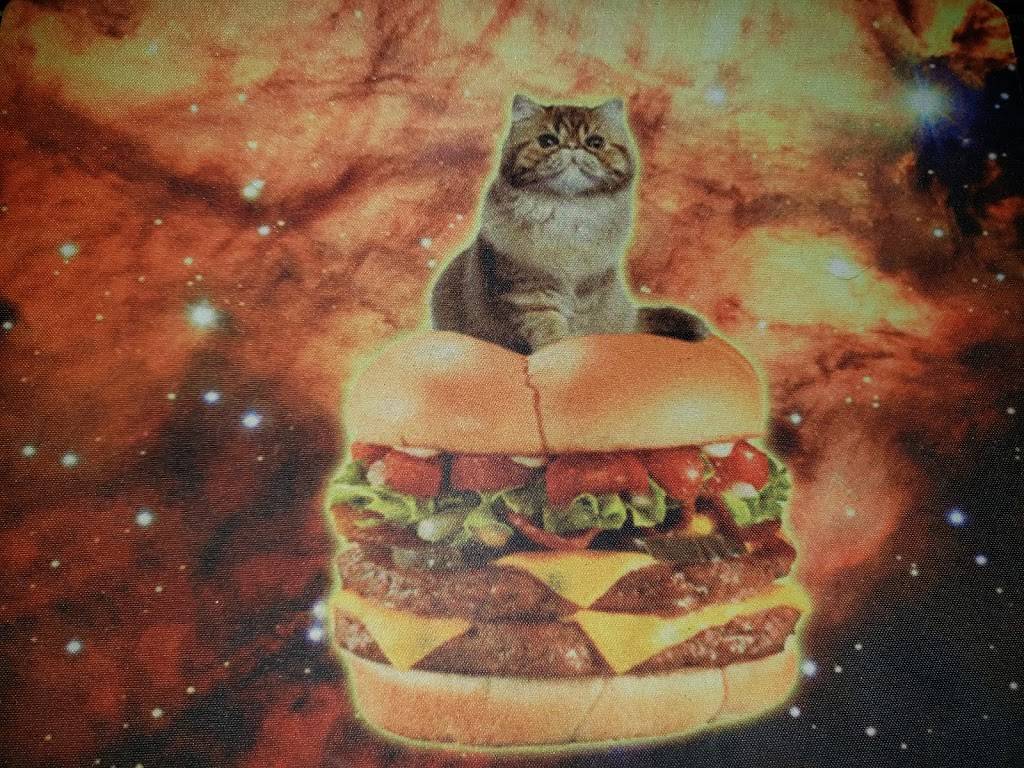 Wendys | restaurant | 17218 E Shea Blvd, Fountain Hills, AZ 85268, USA | 4808372551 OR +1 480-837-2551