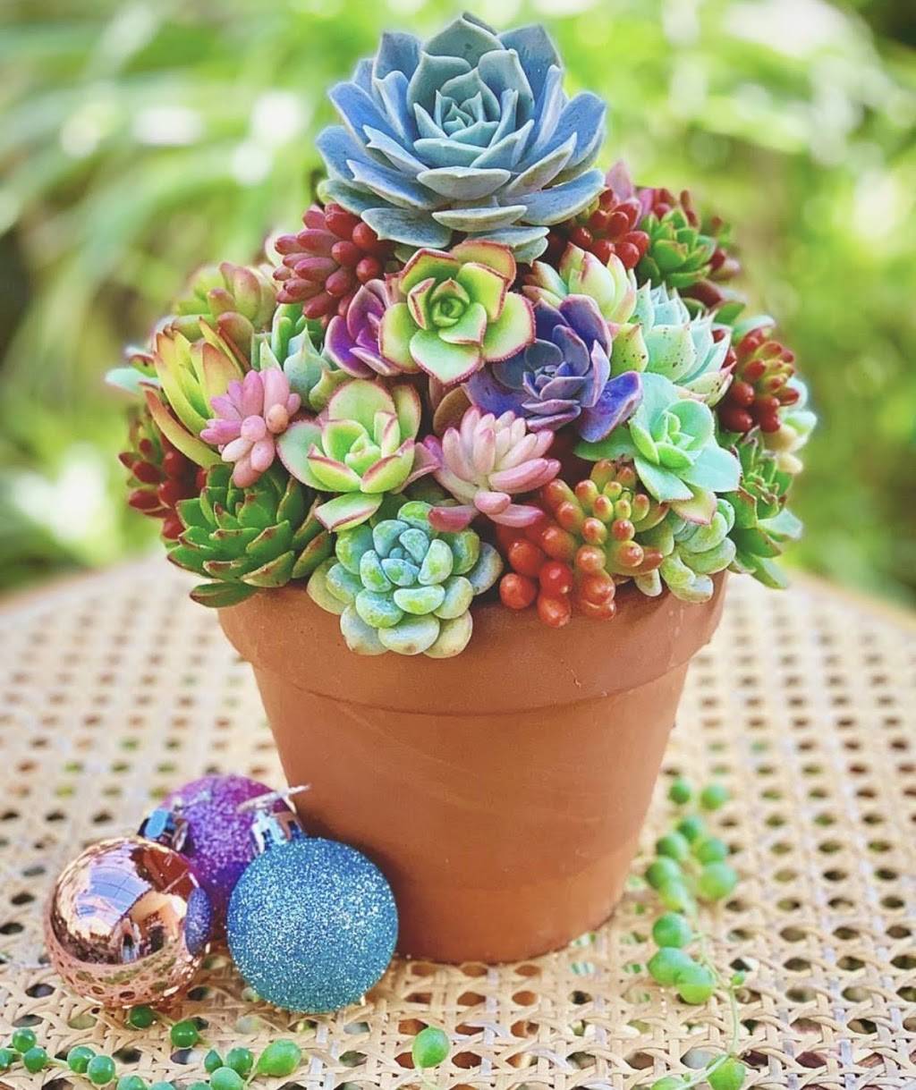 In-N-Out Burger | restaurant | 9032 Trask Ave, Garden Grove, CA 92844, USA | 8007861000 OR +1 800-786-1000