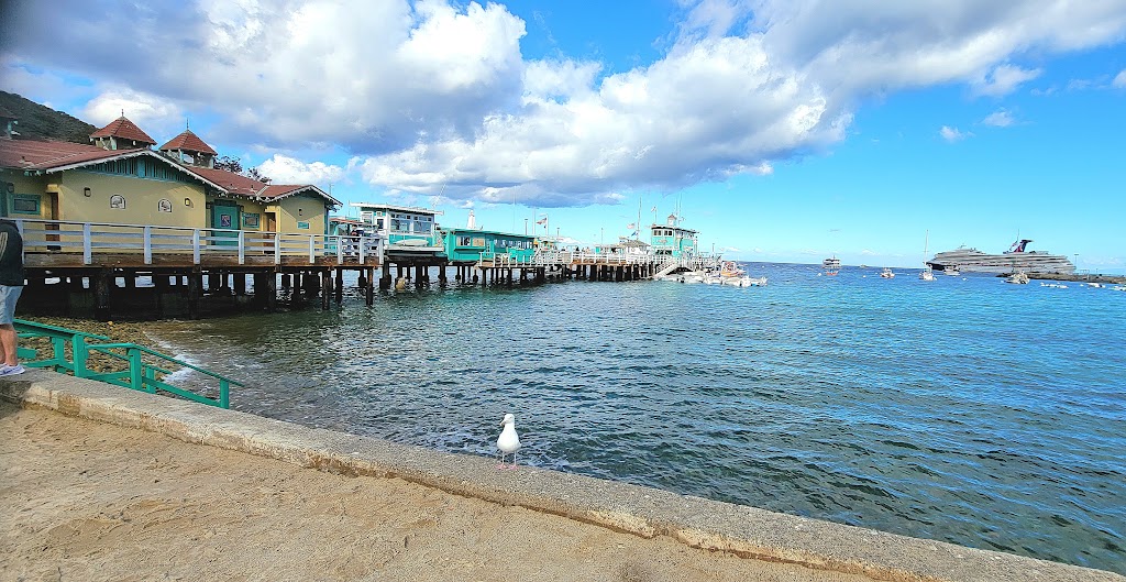 Erics On The Pier | restaurant | 2 Green Pleasure Pier, Avalon, CA 90704, USA | 3105100894 OR +1 310-510-0894