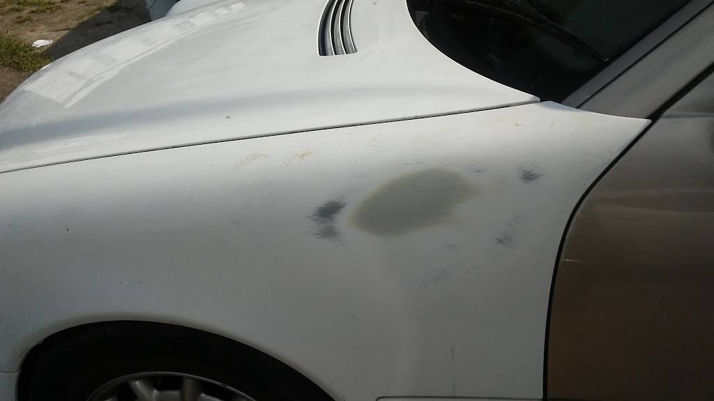 Aries Country Diner | restaurant | 2644 Crepe Myrtle St, Kinston, NC 28504, USA | 2525221186 OR +1 252-522-1186