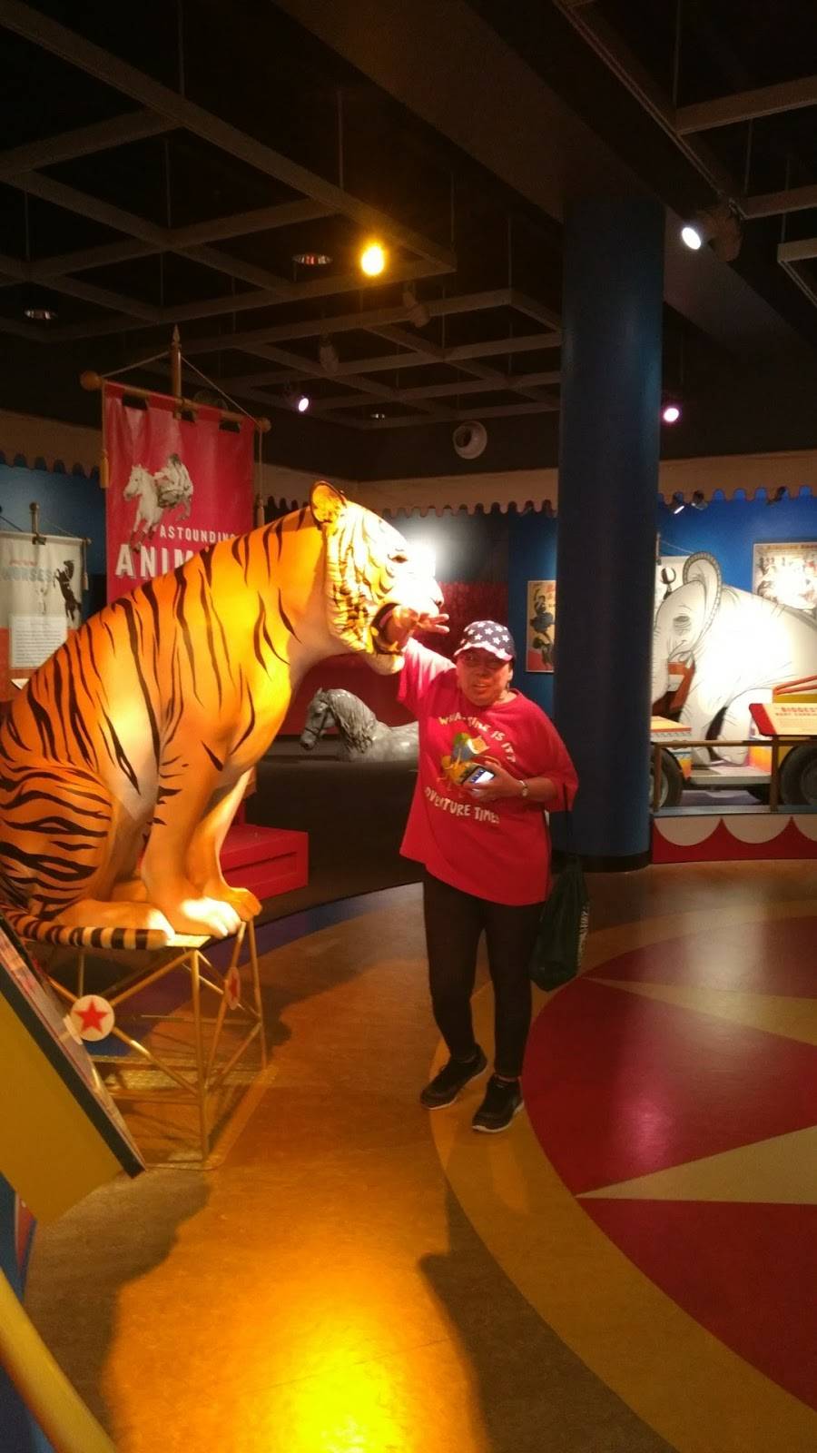 Banyan Café | cafe | 5401 Bay Shore Rd, Sarasota, FL 34243, USA | 9413593183 OR +1 941-359-3183