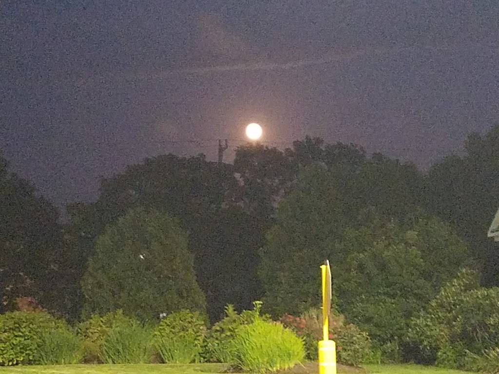 Little House | restaurant | Sands Cv, Cataumet, MA 02534, USA | 5085631946 OR +1 508-563-1946