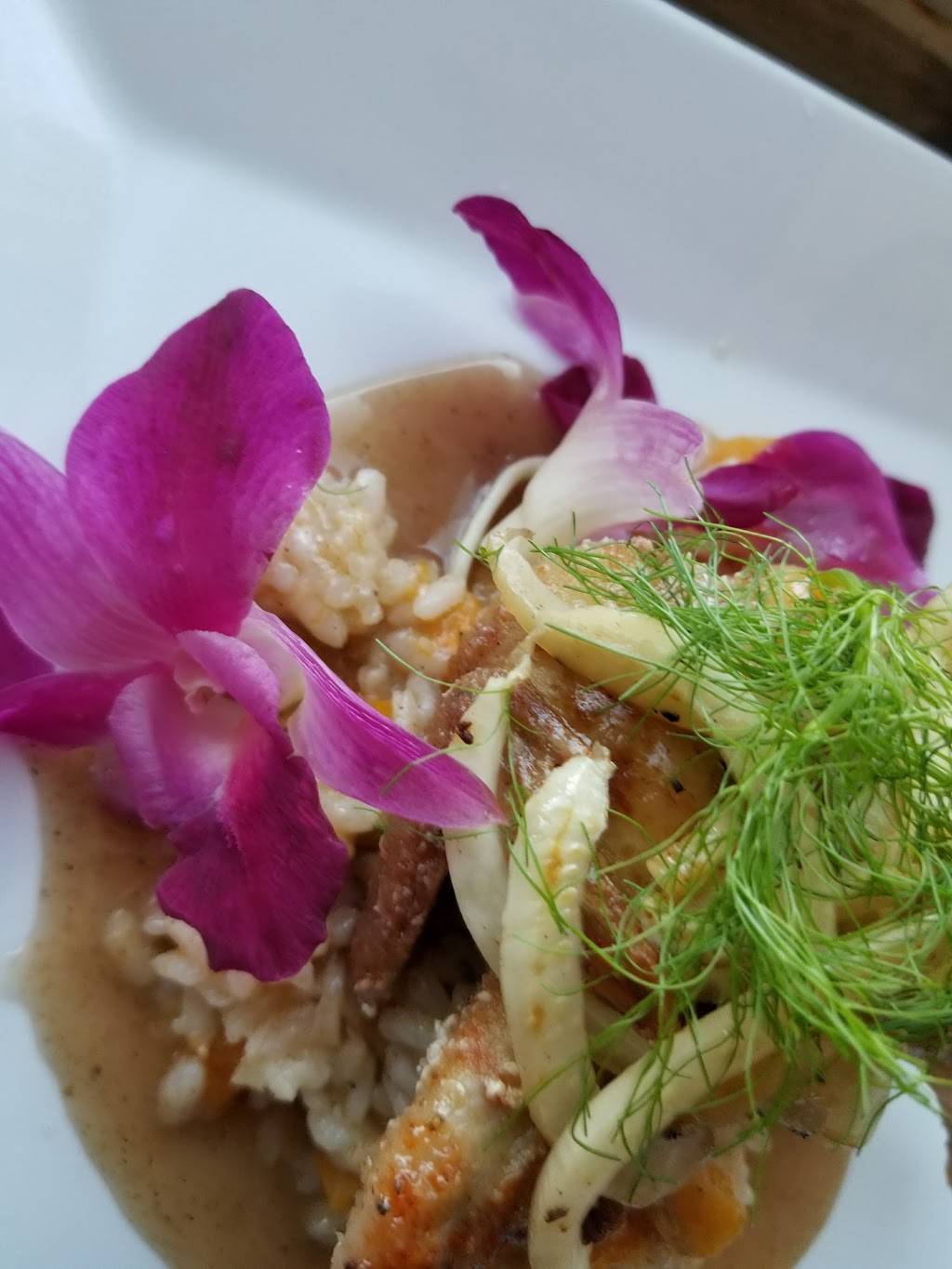 Grey Lodge Pub | restaurant | 6235 Frankford Ave, Philadelphia, PA 19135, USA | 2158563591 OR +1 215-856-3591