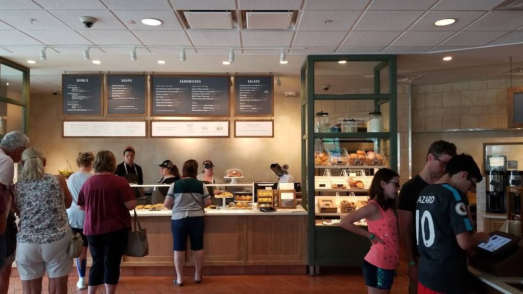 Panera Bread | bakery | 8076 Mediterranean Drive Suite 101, Estero, FL 33928, USA | 2394984472 OR +1 239-498-4472