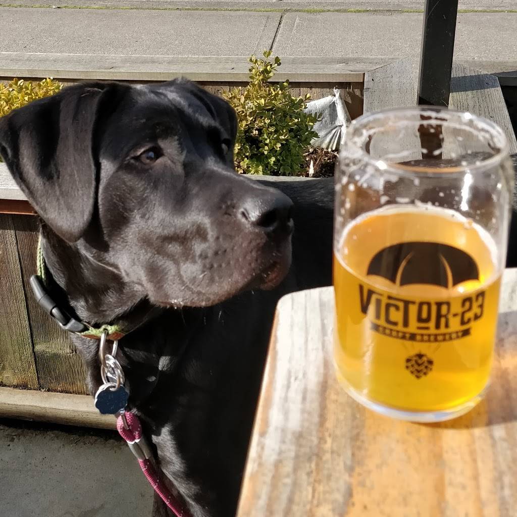 Victor 23 Brewing | restaurant | 2905 St Johns Blvd #3718, Vancouver, WA 98661, USA | 3609845413 OR +1 360-984-5413