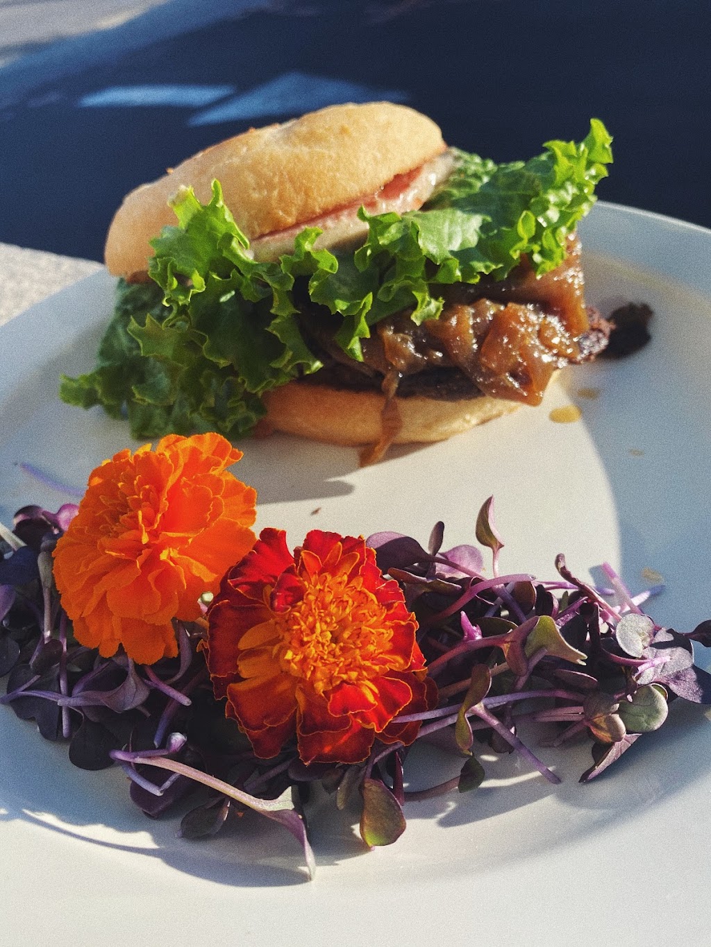 Giving Tree Cafe | restaurant | 7127 E Shea Blvd, Scottsdale, AZ 85254, USA | 6023255425 OR +1 602-325-5425