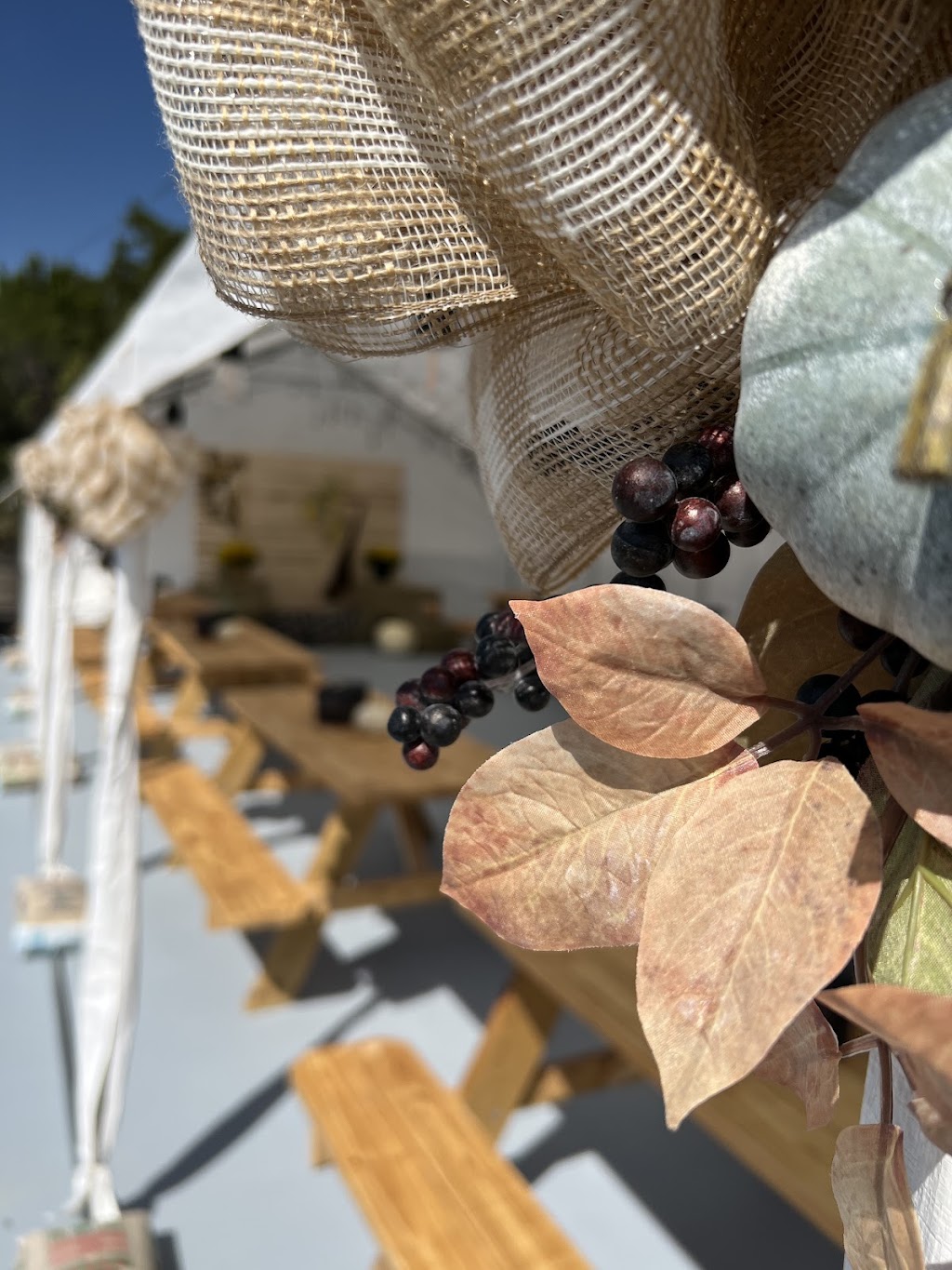 Mama Lidis Food Truck Pizza & Coffee | restaurant | 27890 Boerne Stage Rd, Boerne, TX 78006, USA | 8303885700 OR +1 830-388-5700