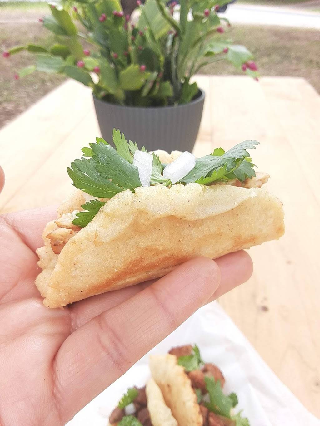 Sopa De Fideo | restaurant | 5002 Hamilton Rd, Austin, TX 78759, USA | 6238266447 OR +1 623-826-6447