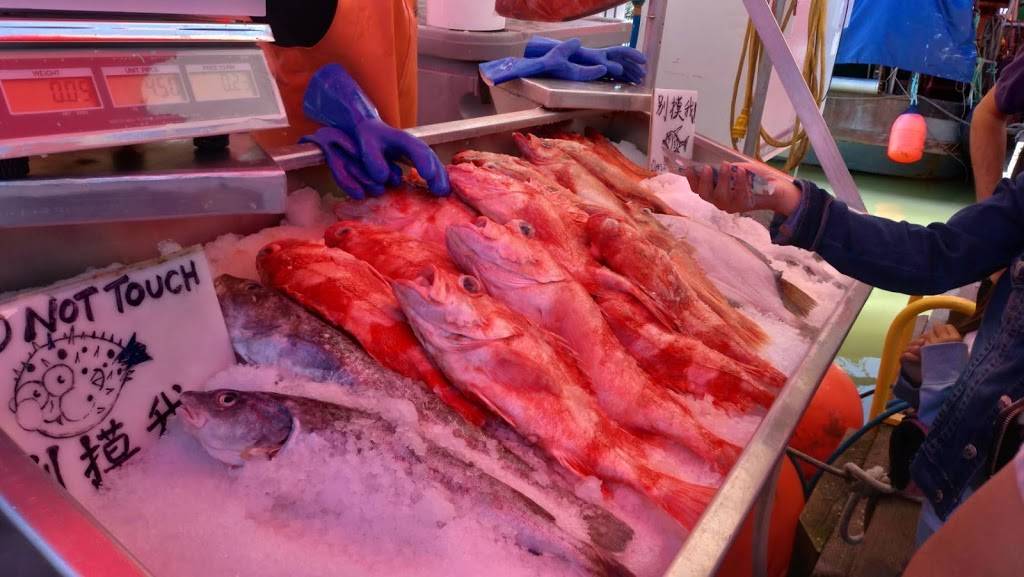 ABS Seafood | meal takeaway | Pier 45, Shed D, 1, San Francisco, CA 94133, USA | 4154010258 OR +1 415-401-0258