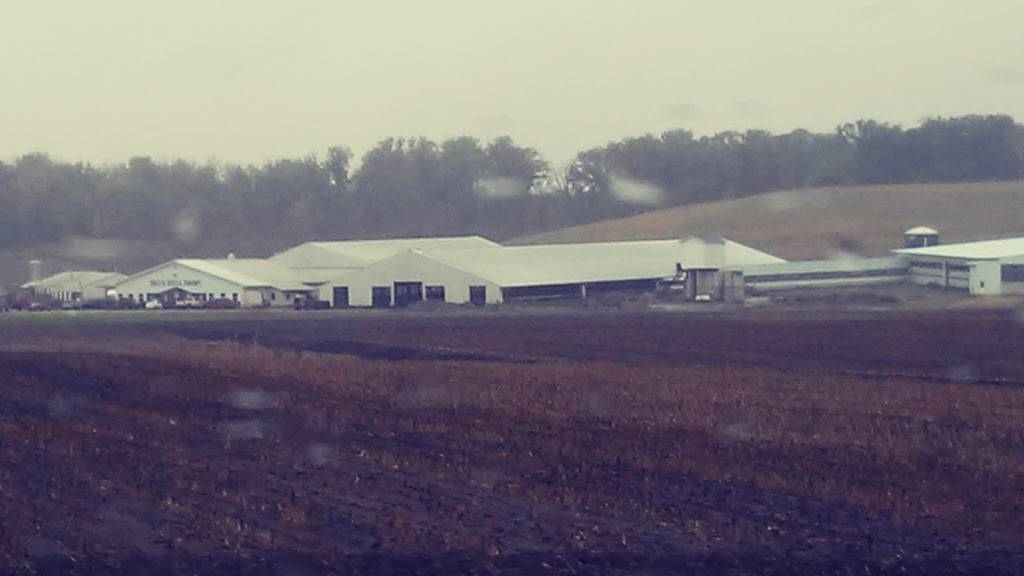 Almont Tap | restaurant | 4581 140th St, Clinton, IA 52732, USA | 5636827381 OR +1 563-682-7381