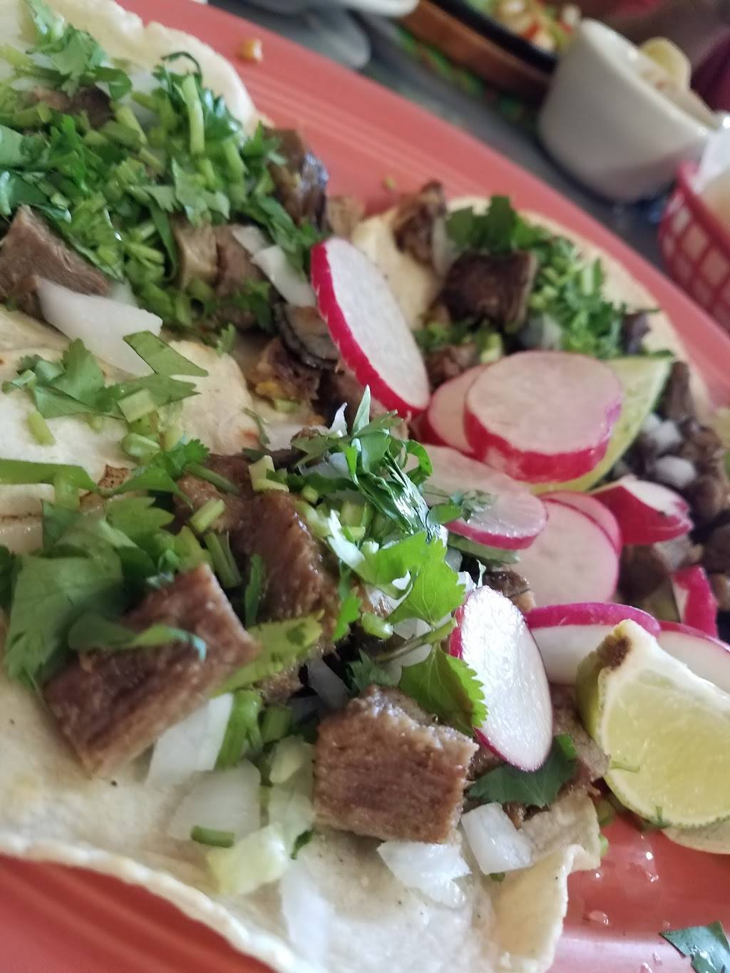 Fajitas Mexican Restaurant | restaurant | 1207 3rd Ave S, Myrtle Beach, SC 29577, USA | 8436260749 OR +1 843-626-0749