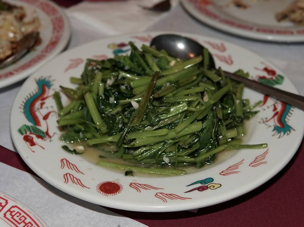 Dynasty | restaurant | 40989 Big Bear Blvd, Big Bear Lake, CA 92315, USA | 9098667887 OR +1 909-866-7887