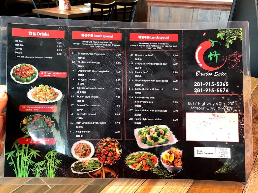 Bamboo Spice | restaurant | 8817 Hwy 6, Missouri City, TX 77459, USA | 2819155265 OR +1 281-915-5265