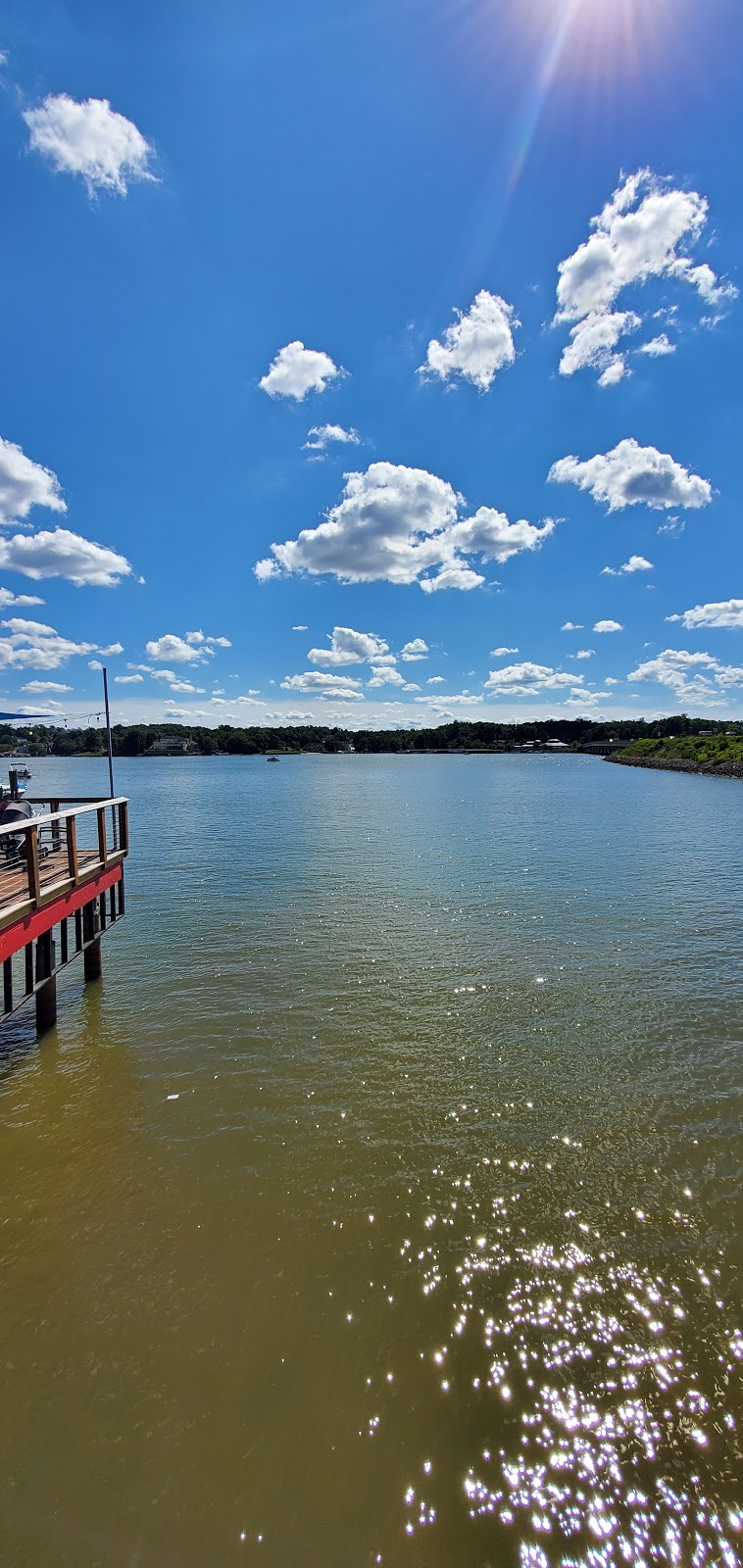 Papa Docs | restaurant | 3990 Charlotte Hwy, Lake Wylie, SC 29710, USA | 8038310043 OR +1 803-831-0043