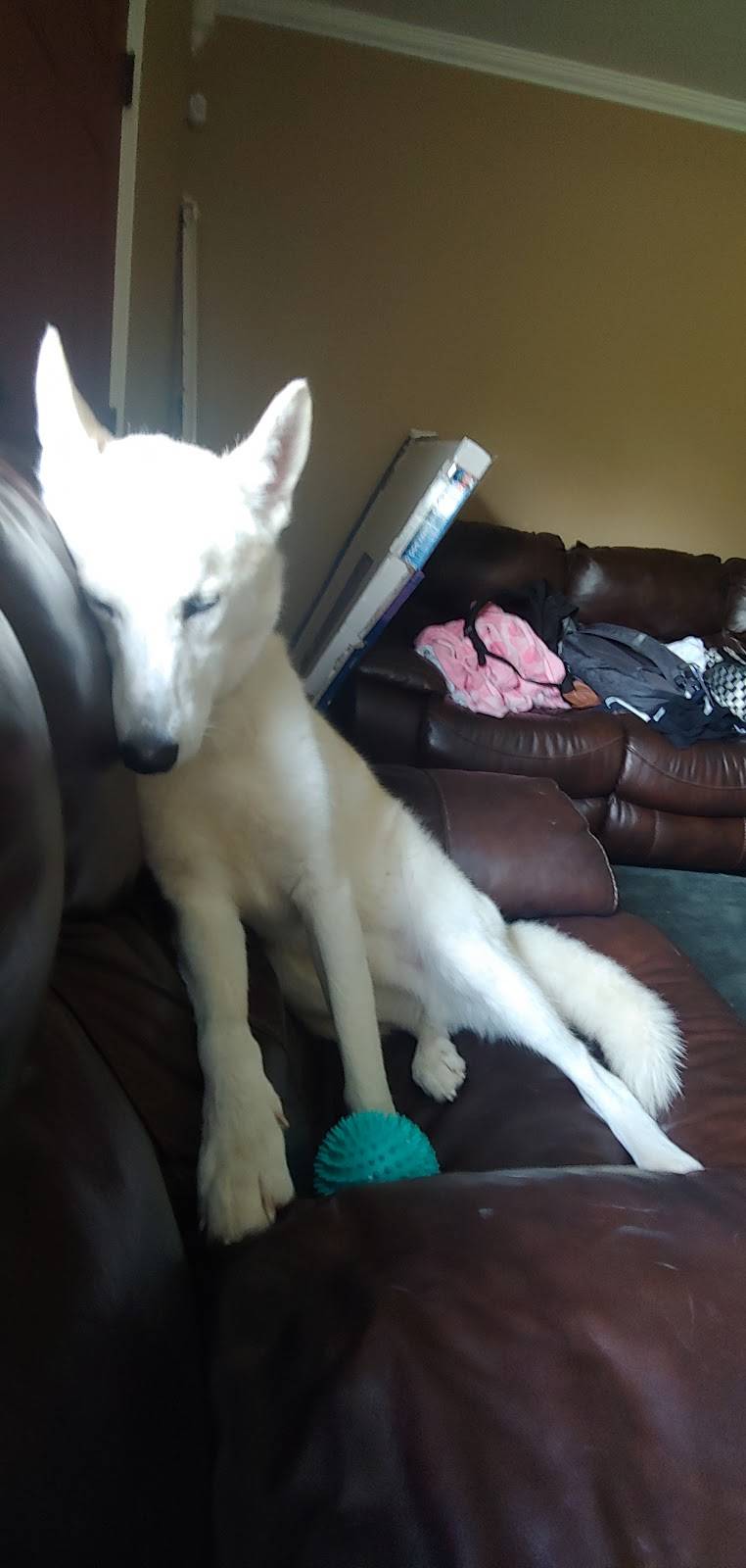 Mazzios Italian Eatery | meal delivery | 12505 S Memorial Dr, Bixby, OK 74008, USA | 9186644444 OR +1 918-664-4444