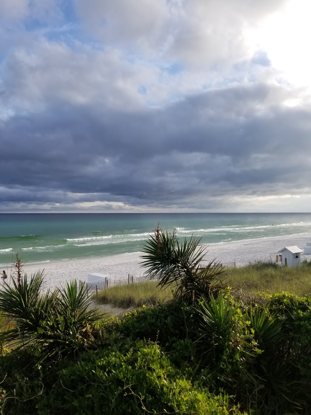 The Shrimp Shack | restaurant | 2236 E County Hwy 30A, Santa Rosa Beach, FL 32459, USA | 8502313799 OR +1 850-231-3799