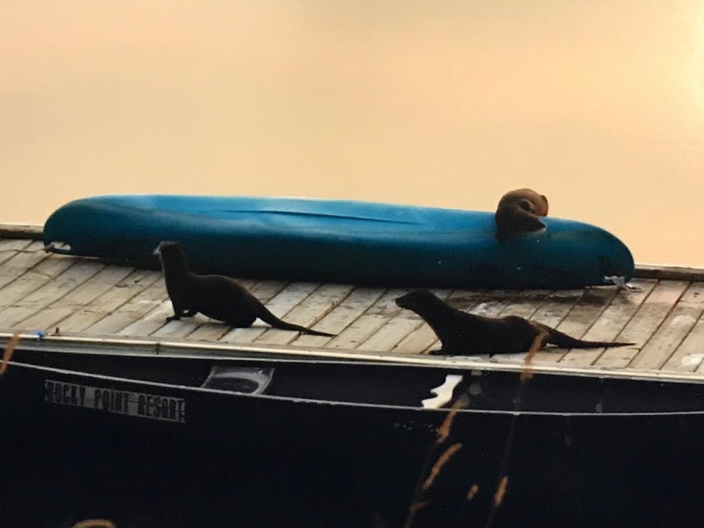 Rocky Point Resort | restaurant | 28121 Rocky Point Rd, Klamath Falls, OR 97601, USA | 5413562287 OR +1 541-356-2287