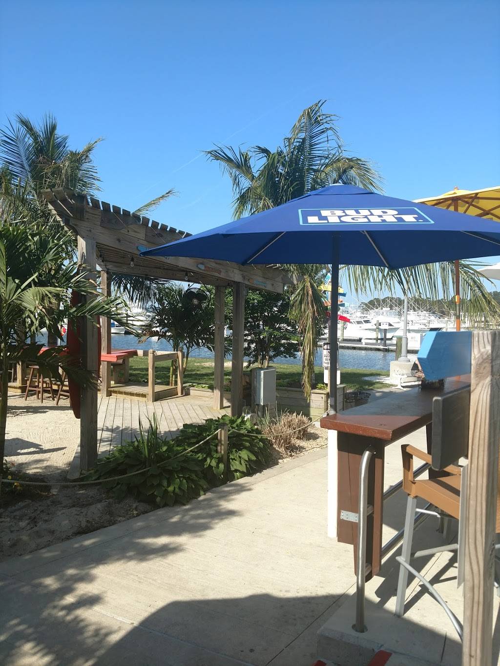 Hammerheads Dockside | restaurant | 2600, 39415 Inlet Rd, Rehoboth Beach, DE 19971, USA | 3027528010 OR +1 302-752-8010