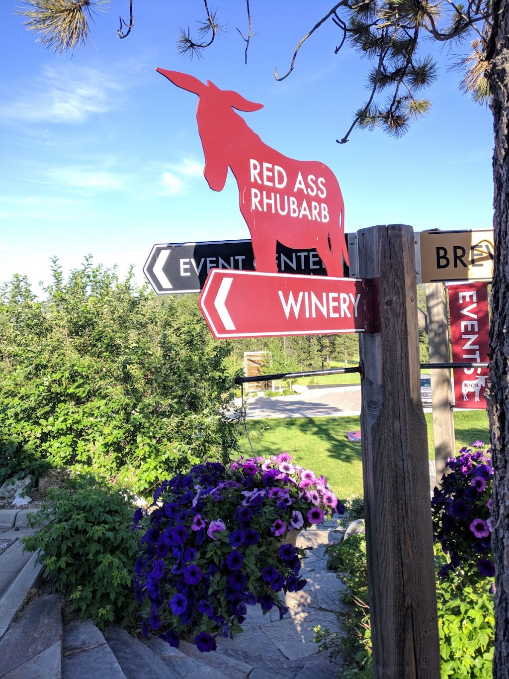 Prairie Berry Winery | restaurant | 23837 US-385, Hill City, SD 57745, USA | 8772269453 OR +1 877-226-9453