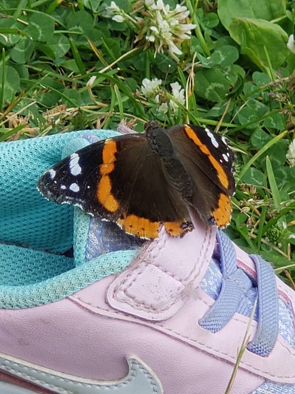 The Island Greek Grill | restaurant | 1-5 Avenue of the Island, Toronto, ON M5J 2W2, Canada | 5196484976 OR +1 519-648-4976