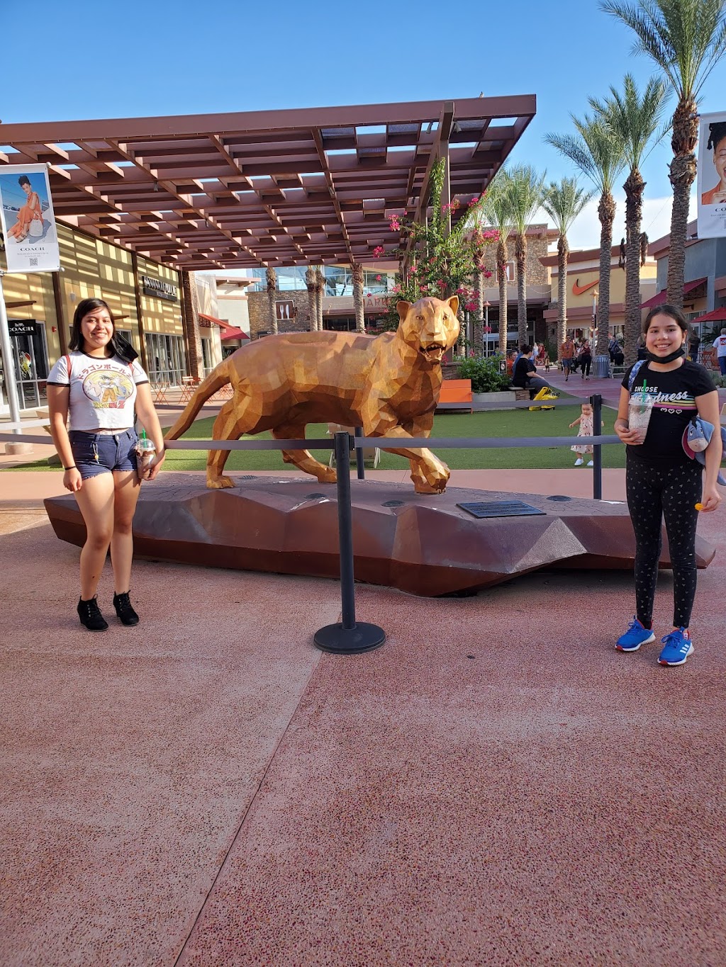 Starbucks | cafe | 6401 Marana Center Blvd, Tucson, AZ 85742, USA | 5202683116 OR +1 520-268-3116