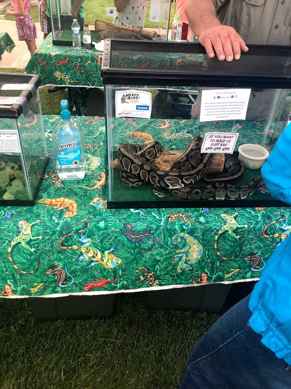 Trout Air Tavern | restaurant | 15201 Running Aces Blvd, Columbus, MN 55025, USA | 6519254577 OR +1 651-925-4577