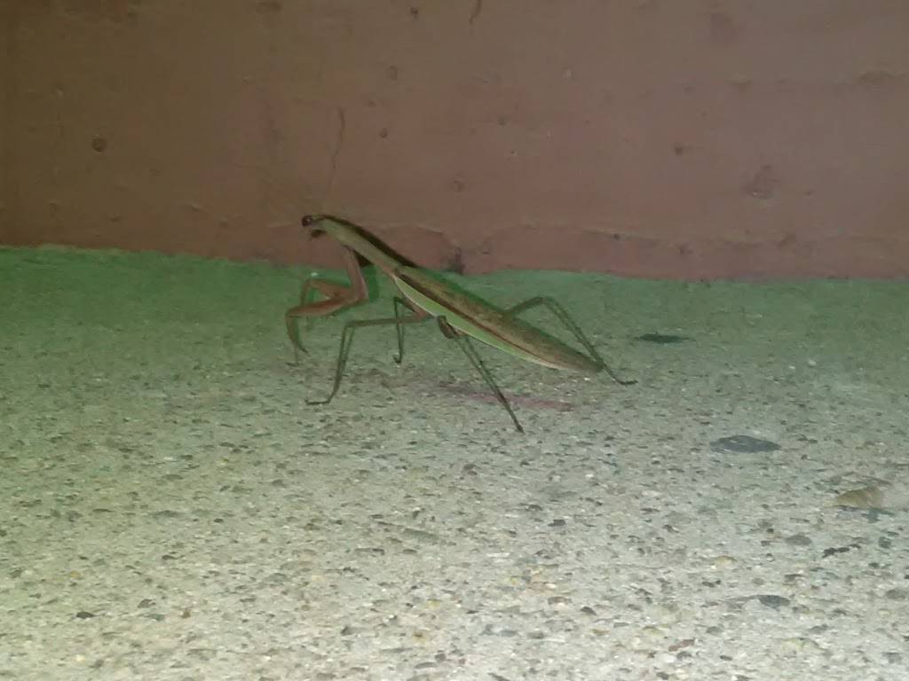 Subway | restaurant | 937 Bedford St, Abington, MA 02351, USA | 7818787347 OR +1 781-878-7347