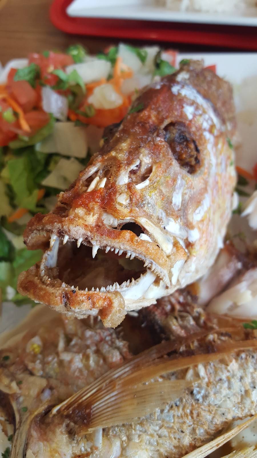 La Granja | restaurant | 10355 NW 41st St, Doral, FL 33178, USA | 3053925792 OR +1 305-392-5792