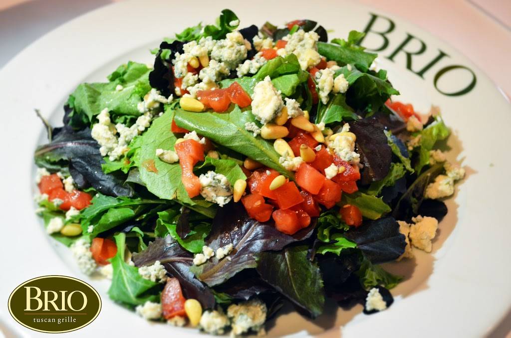 BRIO | restaurant | 2223 N Westshore Blvd, Tampa, FL 33607, USA | 8138773939 OR +1 813-877-3939