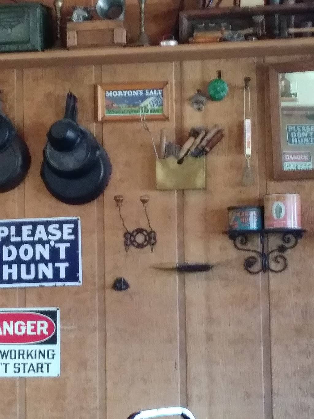 Big Chucks Pizza Plus | restaurant | 8987 Plum Orchard Rd, Munith, MI 49259, USA | 5175962822 OR +1 517-596-2822