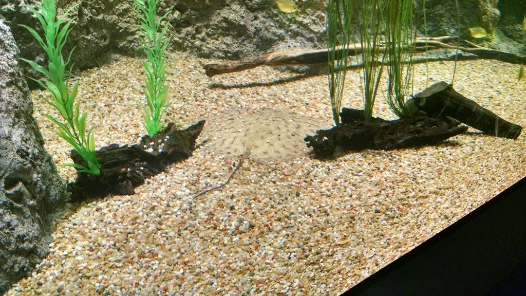 Butterfly Cafe | restaurant | 9500 East Vía de Ventura, Scottsdale, AZ 85256, USA | 4808003000 OR +1 480-800-3000