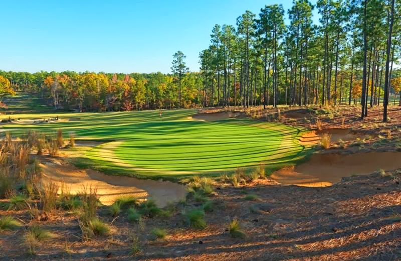 Dormie Club | restaurant | 6033 Beulah Hill Church Rd, West End, NC 27376, USA | 9109473240 OR +1 910-947-3240