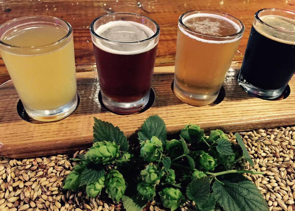 Southern Hops Brewing Co. | restaurant | 911 S Sunset Acres Ln, Florence, SC 29501, USA | 8436671900 OR +1 843-667-1900