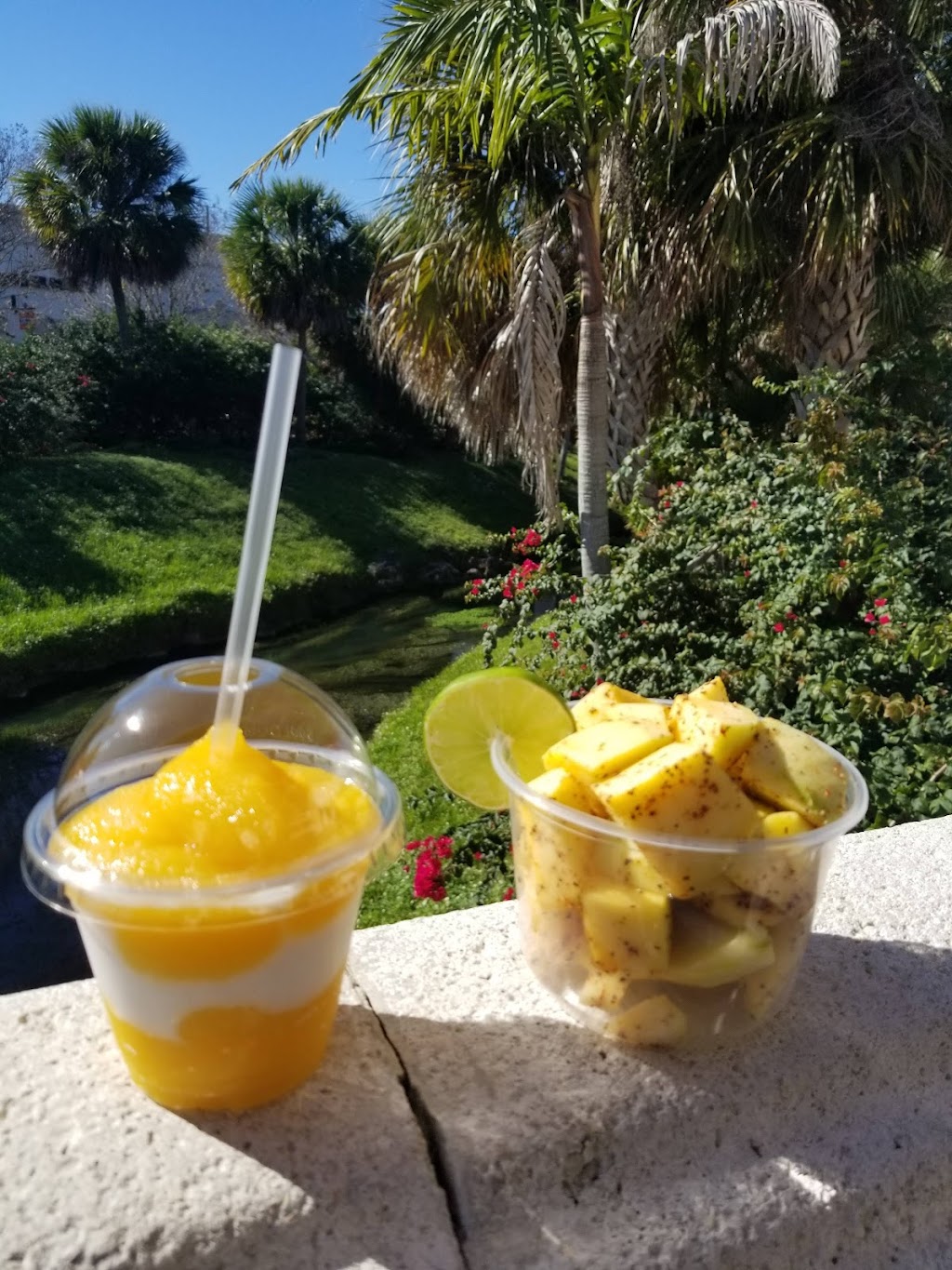 Mango Fresh | restaurant | 8182 Vineland Ave, Orlando, FL 32821, USA | 5613881652 OR +1 561-388-1652