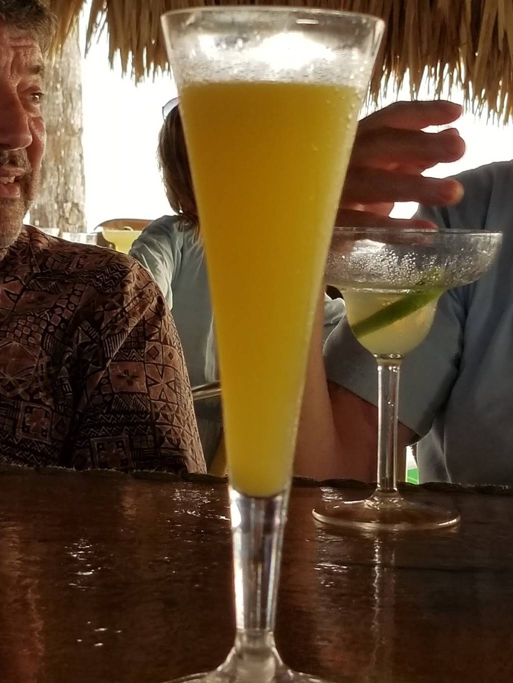 High & Dry Grill | restaurant | 61 Causeway Blvd, Dunedin, FL 34698, USA | 7275104445 OR +1 727-510-4445