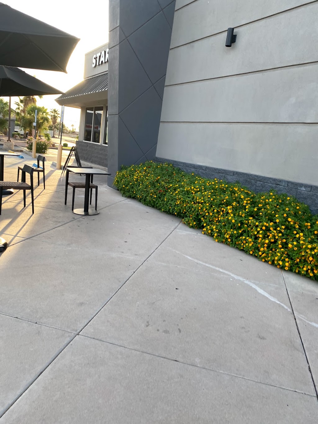 Starbucks | cafe | 3549 W Bell Rd, Phoenix, AZ 85053, USA | 4805993444 OR +1 480-599-3444