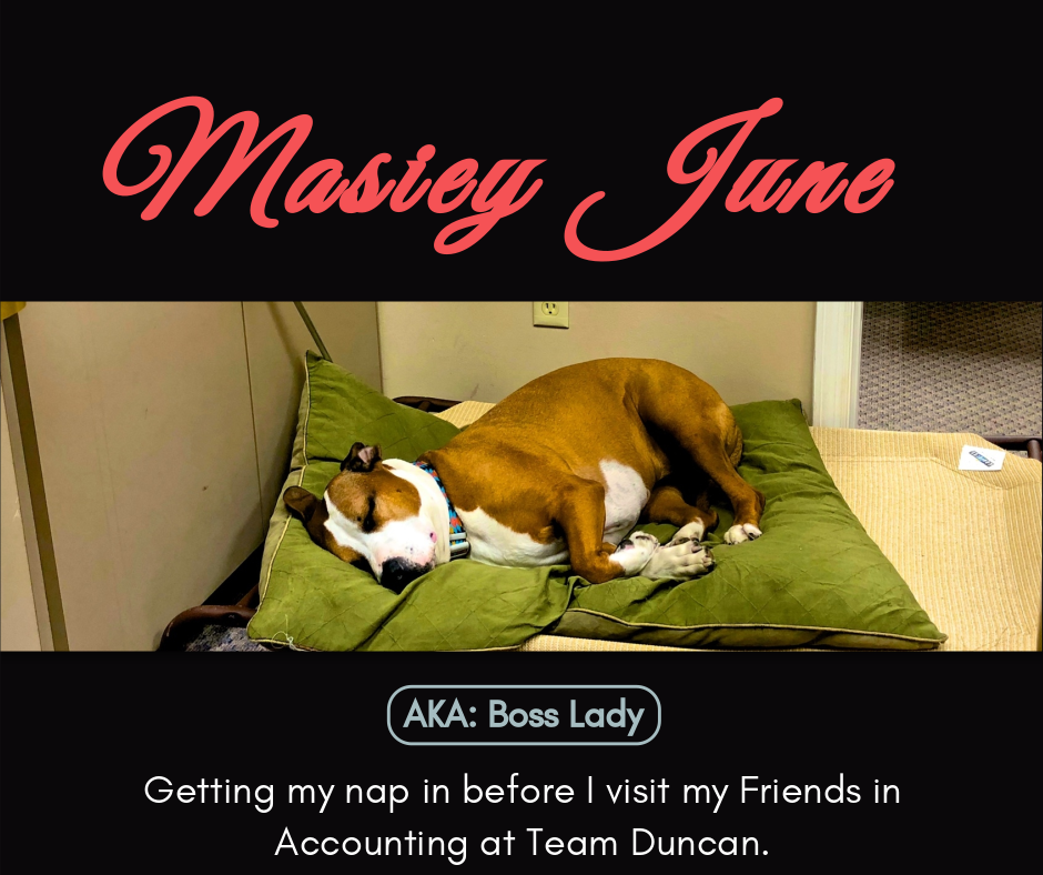 Tipp City RoadDog | restaurant | 1200 W Main St, Tipp City, OH 45371, USA | 9375067635 OR +1 937-506-7635