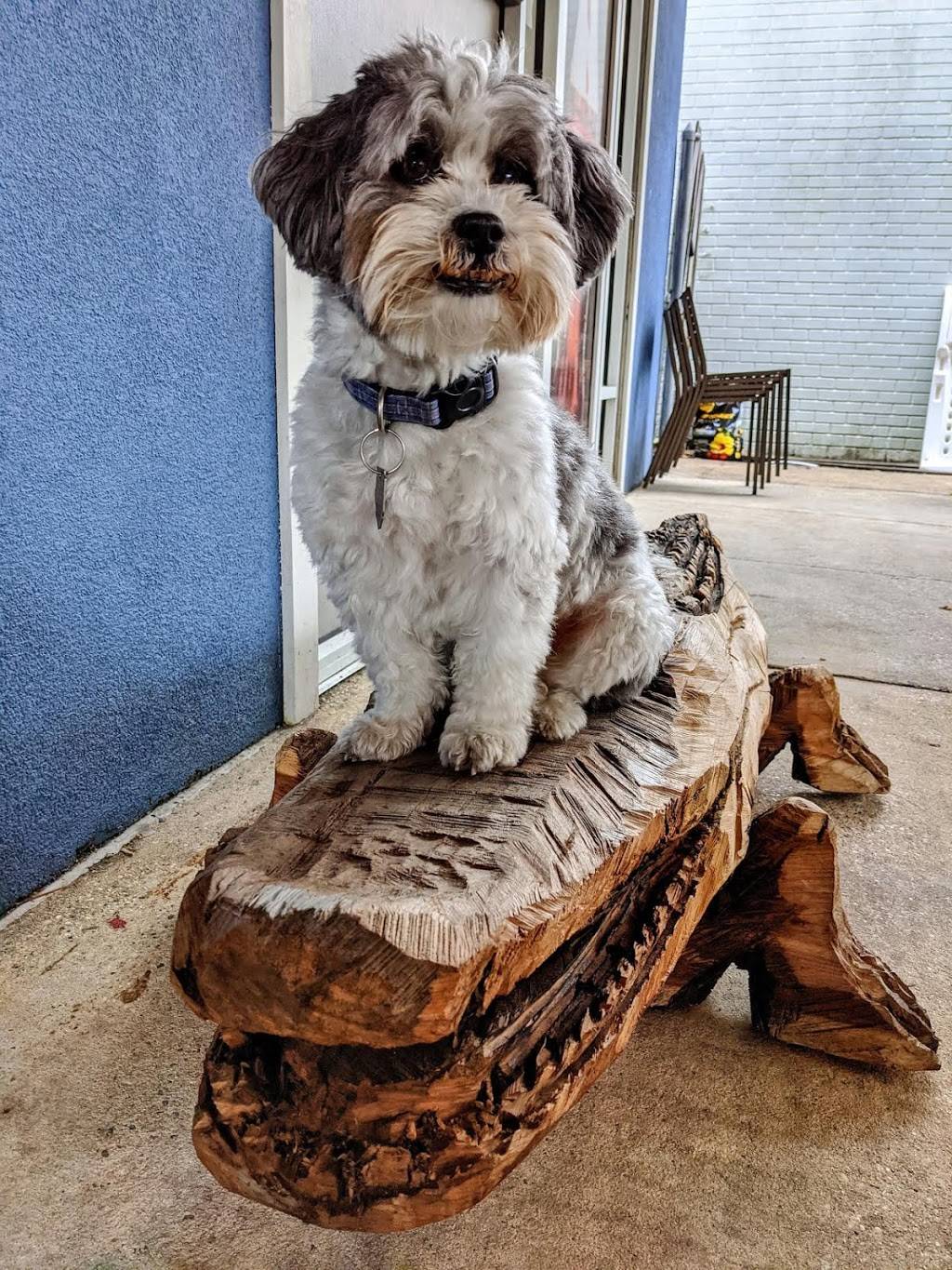 Knuckleheads | restaurant | 522 Washington Ave, Ocean Springs, MS 39564, USA | 2288756370 OR +1 228-875-6370