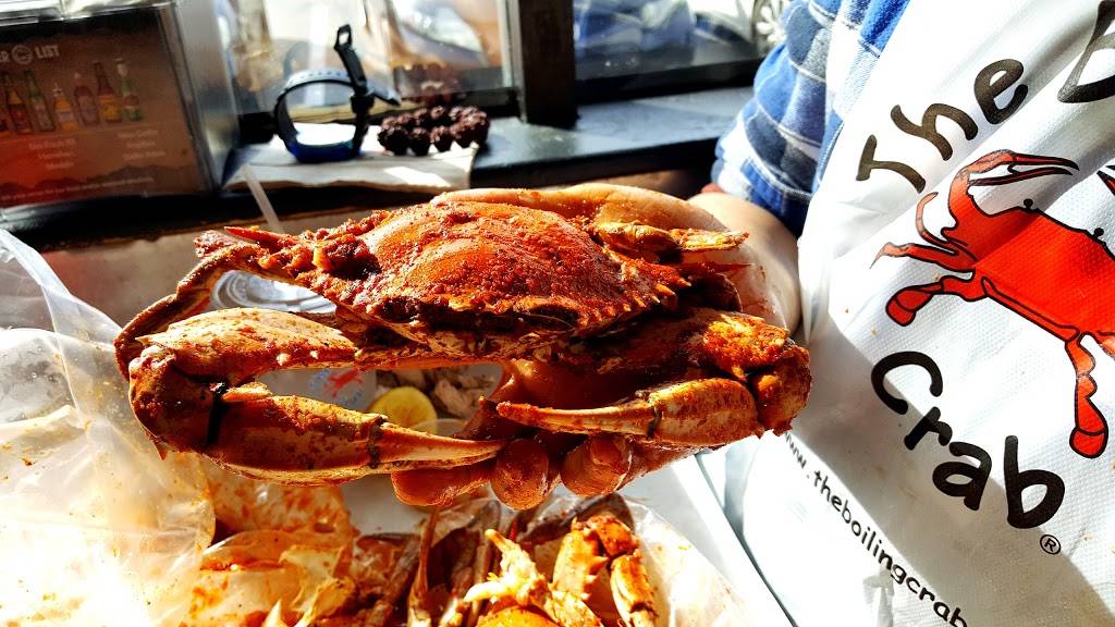 The Boiling Crab | restaurant | 1631 Capitol Expy, San Jose, CA 95121, USA | 4085326147 OR +1 408-532-6147