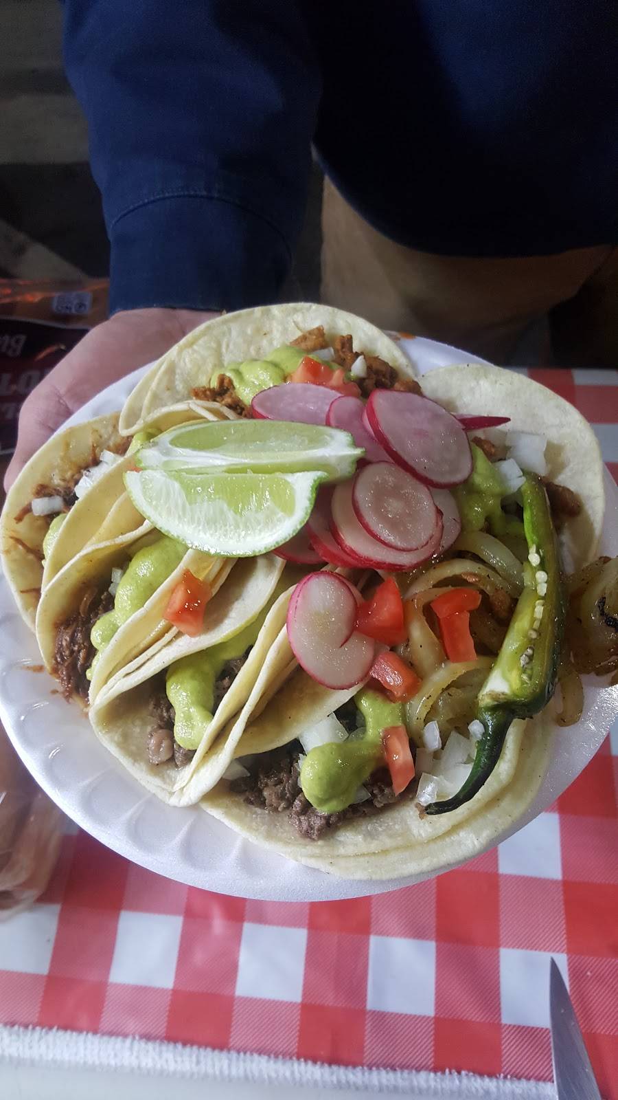 Tacos Shaboy | restaurant | 37 N Jackson Ave, San Jose, CA 95116, USA | 4089871396 OR +1 408-987-1396