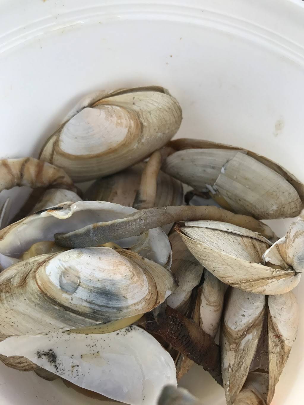 Cantlers Riverside Inn | restaurant | 458 Forest Beach Rd, Annapolis, MD 21409, USA | 4107571311 OR +1 410-757-1311