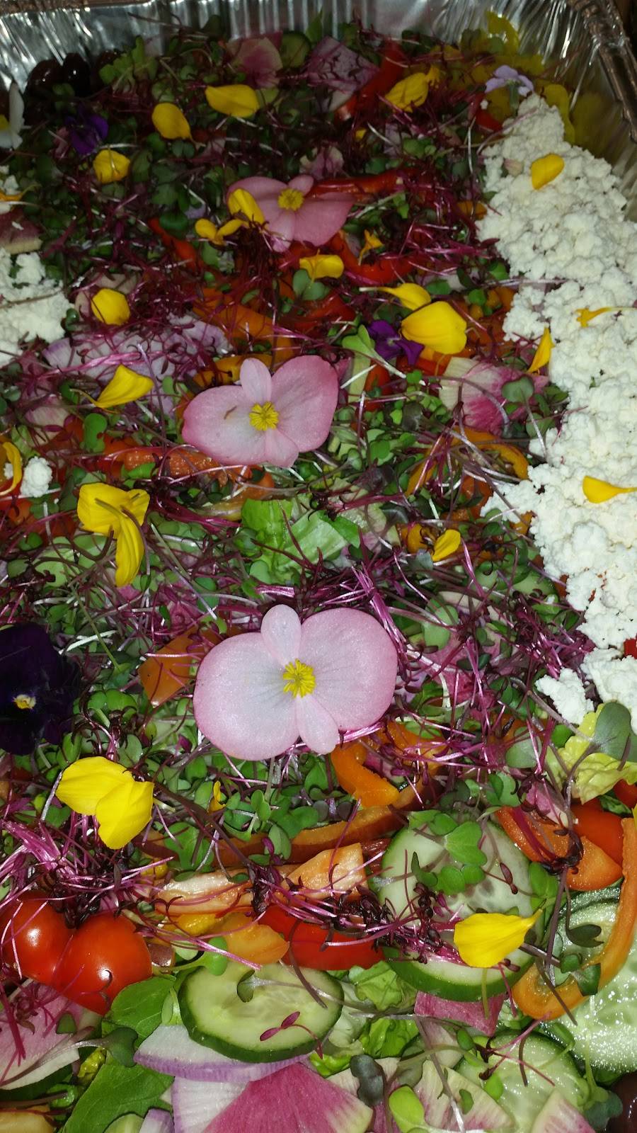 Angelinas Kitchen | restaurant | 23 Rectory St, Pittsboro, NC 27312, USA | 9195455505 OR +1 919-545-5505